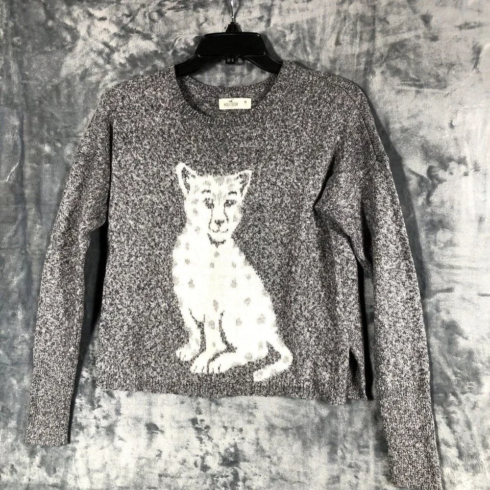 Hollister Woman’s Sweater Baby Leopard Grey Long Sleeve Pullover Size Medium - Picture 1 of 11